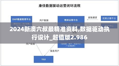 2024新澳六叔最精准资料,数据驱动执行设计_超值版2.986