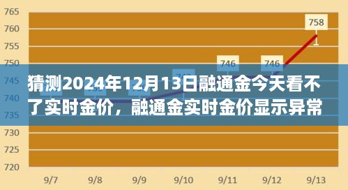 融通金实时金价显示异常背后的原因分析及影响探讨，2024年12月13日的观察与猜测