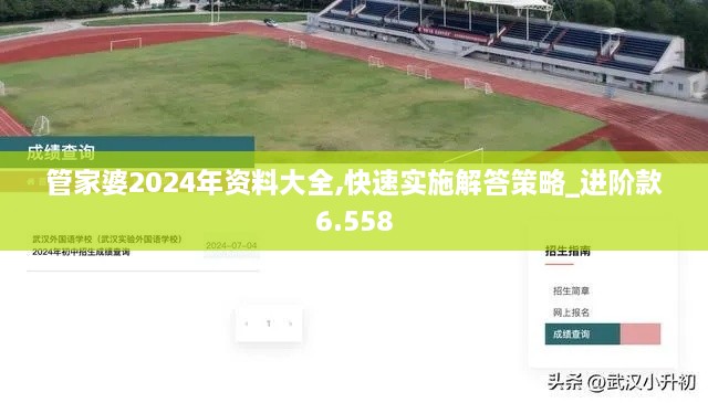 管家婆2024年资料大全,快速实施解答策略_进阶款6.558