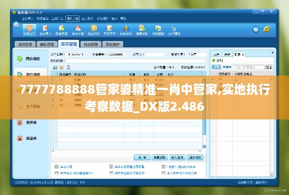 7777788888管家婆精准一肖中管家,实地执行考察数据_DX版2.486