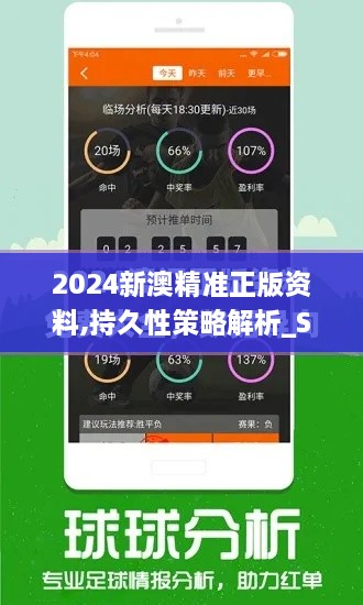 2024新澳精准正版资料,持久性策略解析_SE版4.140