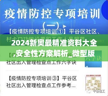 2024新奥最精准资料大全,安全性方案解析_微型版6.818