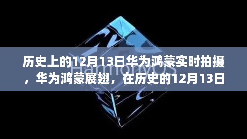 华为鸿蒙展翅，历史见证技术飞跃，追梦励志故事在12月13日启航