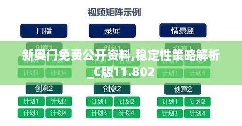 新奥门免费公开资料,稳定性策略解析_C版11.802