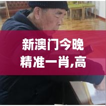 新澳门今晚精准一肖,高效计划实施解析_复古款1.213