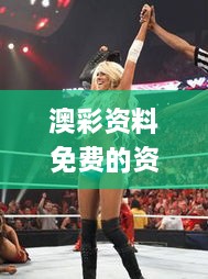 澳彩资料免费的资料大全wwe,经济性方案解析_OP1.395