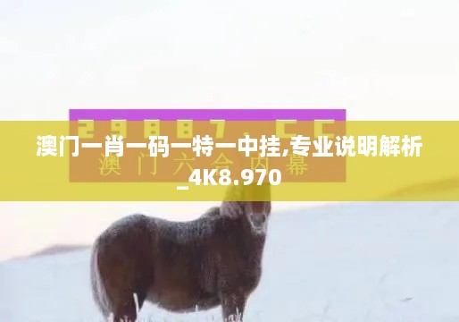 澳门一肖一码一特一中挂,专业说明解析_4K8.970