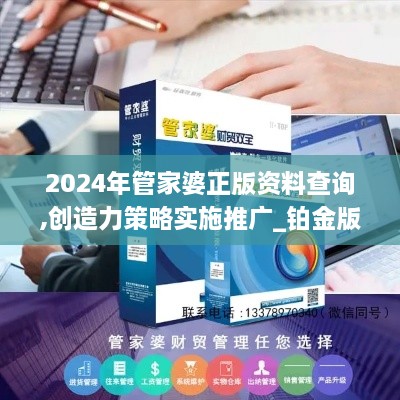 2024年管家婆正版资料查询,创造力策略实施推广_铂金版2.165