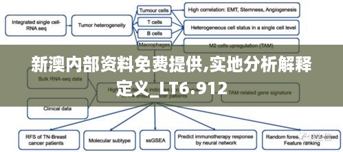 新澳内部资料免费提供,实地分析解释定义_LT6.912