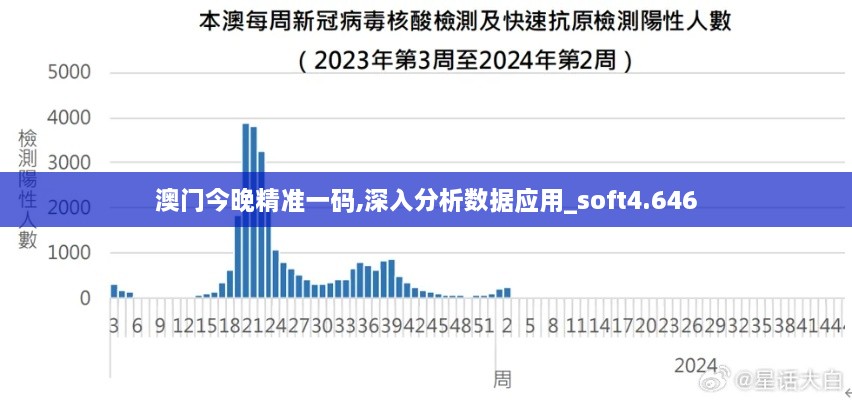 澳门今晚精准一码,深入分析数据应用_soft4.646