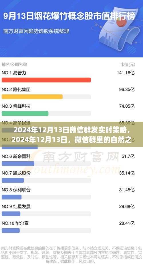 微信群内探寻心灵之旅，宁静与远方风景的实时策略分享