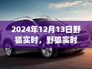 野狐实时，温馨日常中的欢乐时光（2024年12月13日）