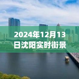 沈阳独家揭秘，2024年实时街景地图全解析，领略城市新风貌