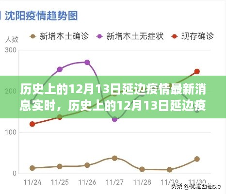 多维度视角下的深度分析，历史上的延边疫情最新消息实时报道与解读（截至12月13日）