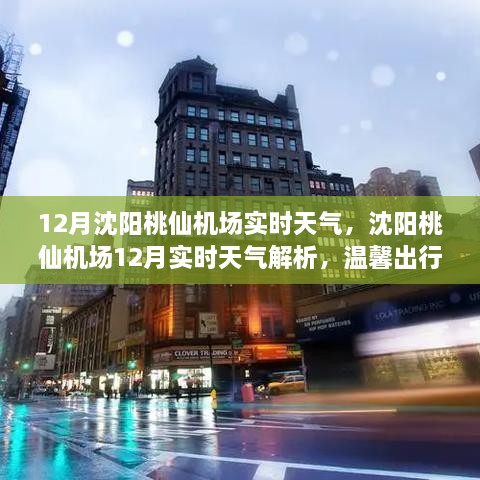 沈阳桃仙机场12月实时天气解析与温馨出行攻略