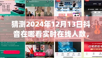 未来视野之旅，揭秘2024年抖音实时在线人数盛况——家庭日，在线情缘的见证