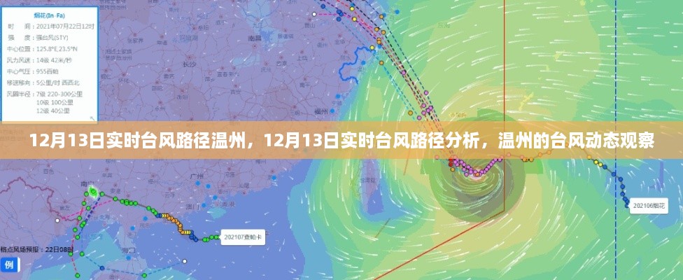 12月13日温州台风路径实时分析，最新动态与观察报告