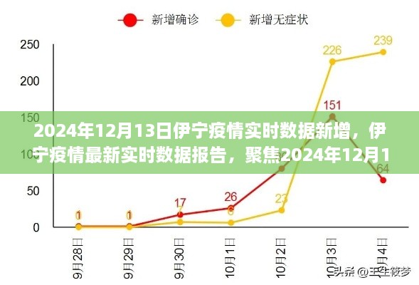 2024年12月13日伊宁疫情实时数据报告，聚焦最新新增情况