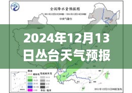 丛台天气预报实时洞察，2024年12月13日的天气分析与影响