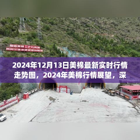 深度解析，2024年美棉行情展望与实时走势图背后的争议