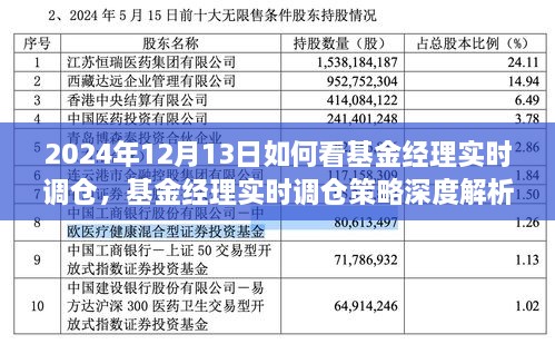 基金经理实时调仓深度解析，洞悉策略与投资机会（2024年12月13日投资洞察）