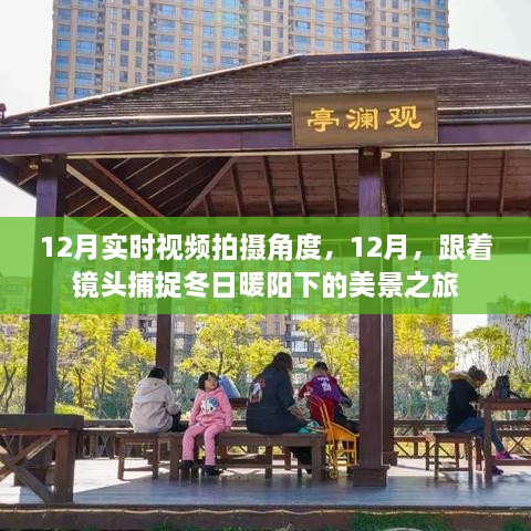 12月冬日美景之旅，捕捉暖阳下的绝佳拍摄角度