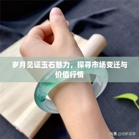 岁月见证玉石魅力，探寻市场变迁与价值行情