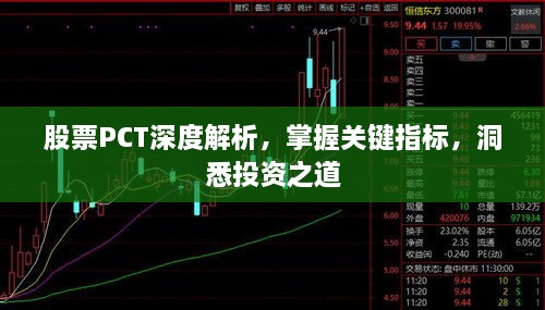 股票PCT深度解析，掌握关键指标，洞悉投资之道