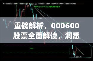 重磅解析，000600股票全面解读，洞悉投资趋势！