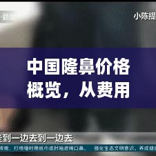 中国隆鼻价格概览，从费用构成到市场行情一网打尽