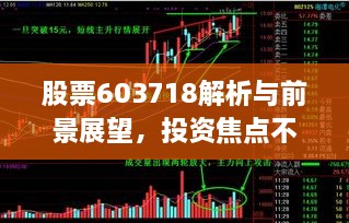 股票603718解析与前景展望，投资焦点不容错过