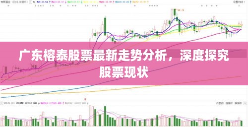 广东榕泰股票最新走势分析，深度探究股票现状