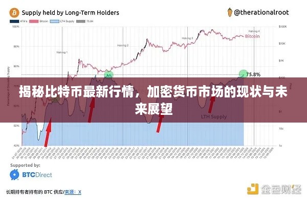 揭秘比特币最新行情，加密货币市场的现状与未来展望