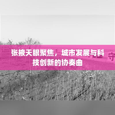 张掖天眼聚焦，城市发展与科技创新的协奏曲