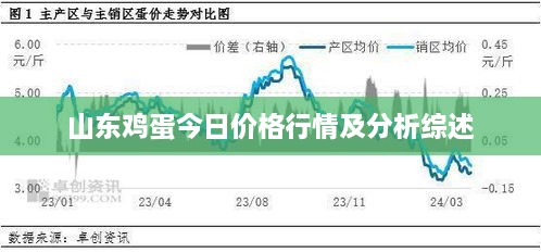 山东鸡蛋今日价格行情及分析综述