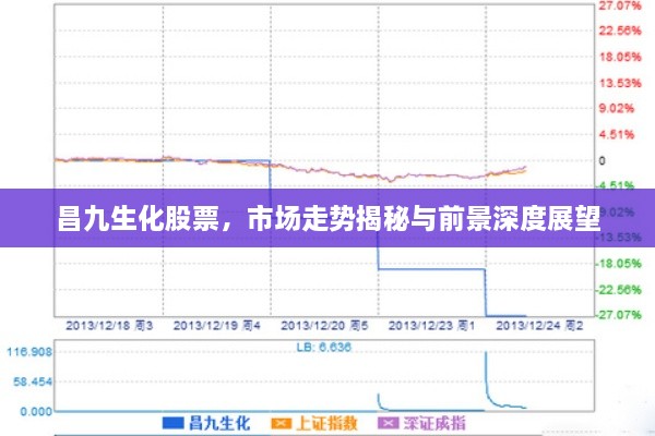 昌九生化股票，市场走势揭秘与前景深度展望