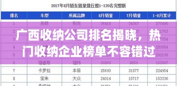 广西收纳公司排名揭晓，热门收纳企业榜单不容错过！