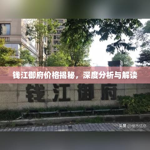 钱江御府价格揭秘，深度分析与解读