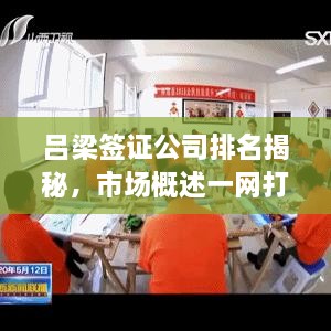 吕梁签证公司排名揭秘，市场概述一网打尽