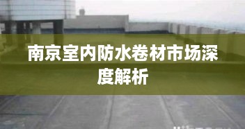 南京室内防水卷材市场深度解析