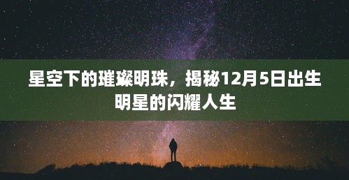 星空下的璀璨明珠，揭秘12月5日出生明星的闪耀人生