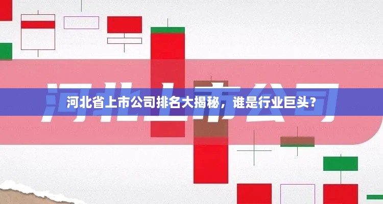 河北省上市公司排名大揭秘，谁是行业巨头？