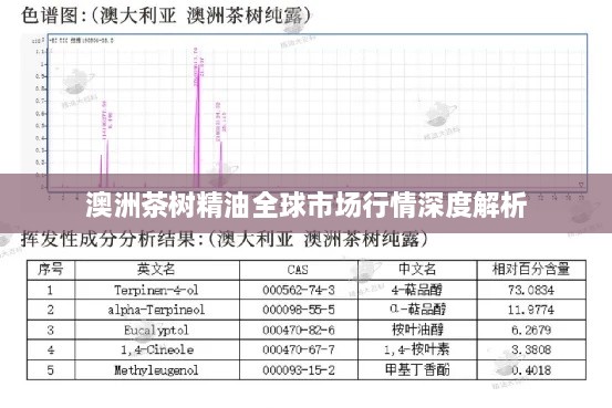 澳洲茶树精油全球市场行情深度解析