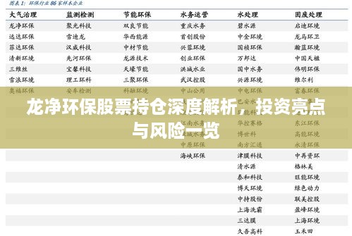 龙净环保股票持仓深度解析，投资亮点与风险一览