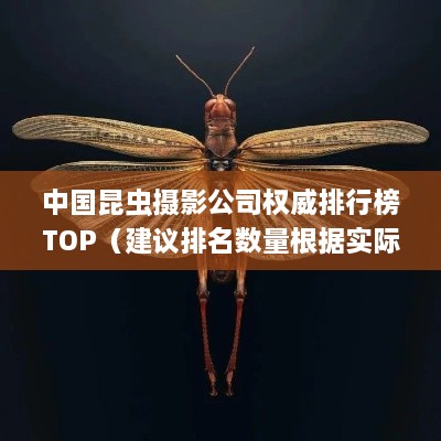 中国昆虫摄影公司权威排行榜TOP（建议排名数量根据实际情况调整）