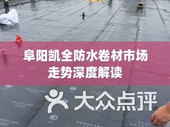 阜阳凯全防水卷材市场走势深度解读