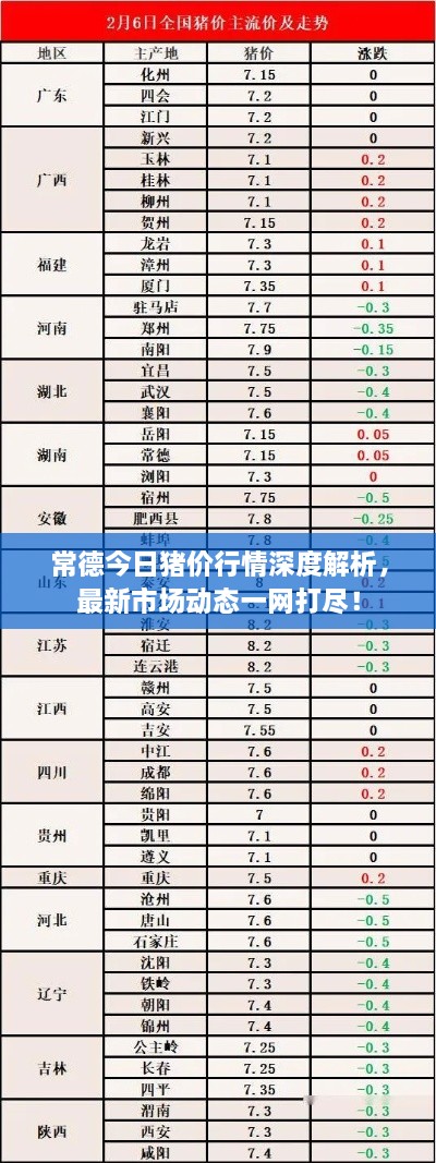 常德今日猪价行情深度解析，最新市场动态一网打尽！