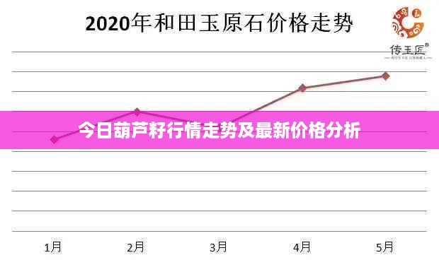 今日葫芦籽行情走势及最新价格分析