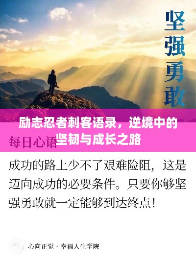 励志忍者刺客语录，逆境中的坚韧与成长之路