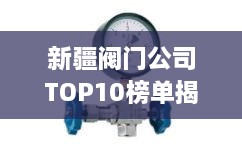 新疆阀门公司TOP10榜单揭晓，行业领军者一览无余